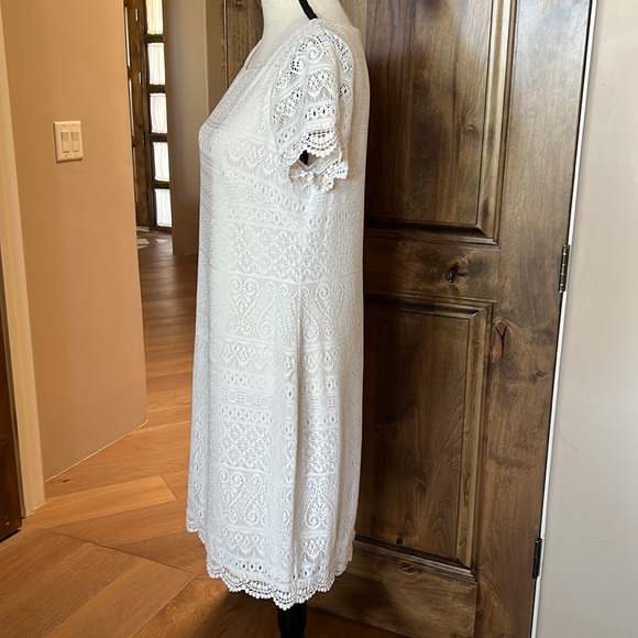 Size 10 - Lace Dress by London Times - Picture 2 of 6